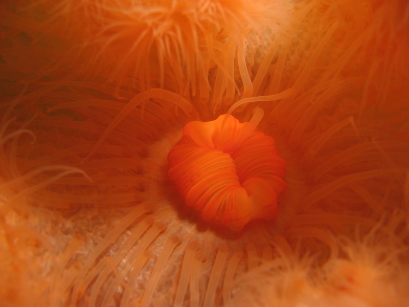 ../Images/DSechelt 049.jpg